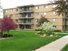 Cherry Court